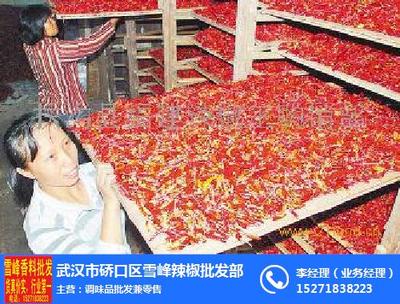 福建辣椒王_雪峰辣椒_福建辣椒王批發(fā)