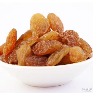 女人香葡萄干 品牌、價格與批發零售指南